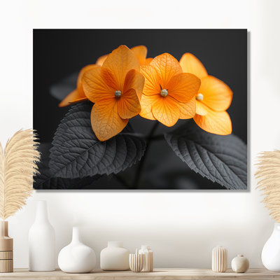 Orange orange, parfum d'hydrangées et d'hortensias muraux