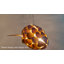 Shiey 120 - Light Unique/Statement LED Chandelier