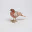 3 Piece Decorative Patchwork Bird Set