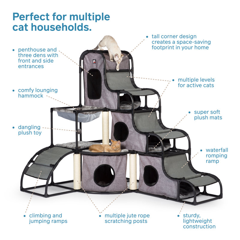Sebastian 56'' H Cat Tree