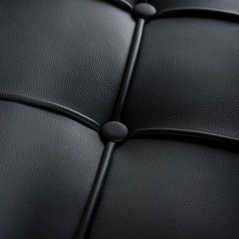 Chaise d'appoint capitonnée Somerville, Noir