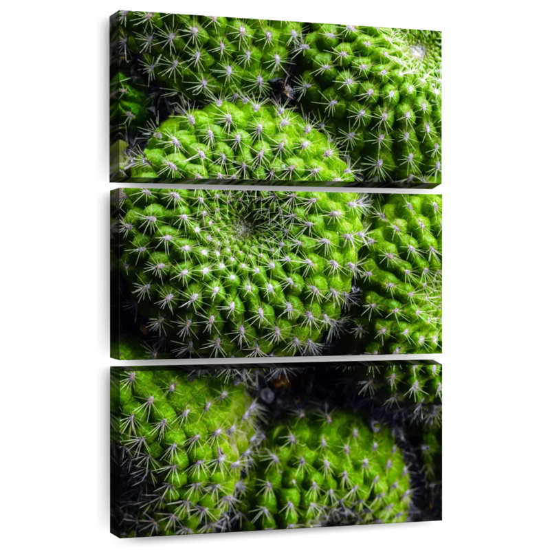 Harnek Spiny Barrel Cactus, 45" H x 28" W