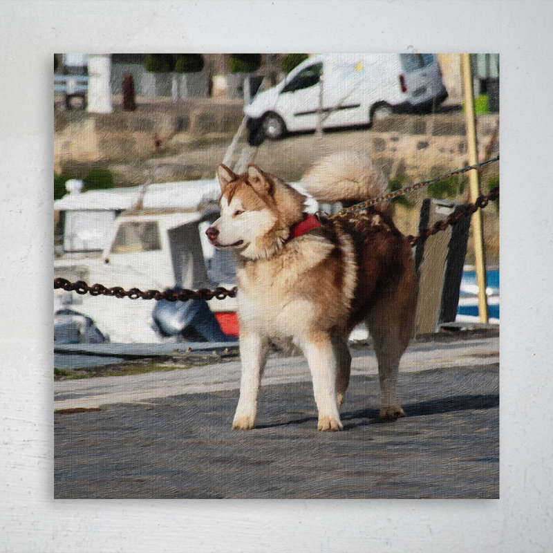 " Brown And White Siberian Husky On Road During Daytime " Graphic Art Painting, 16" H x 16" W