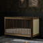 Marin with Cane 3-in-1 Convertible Crib-225140126