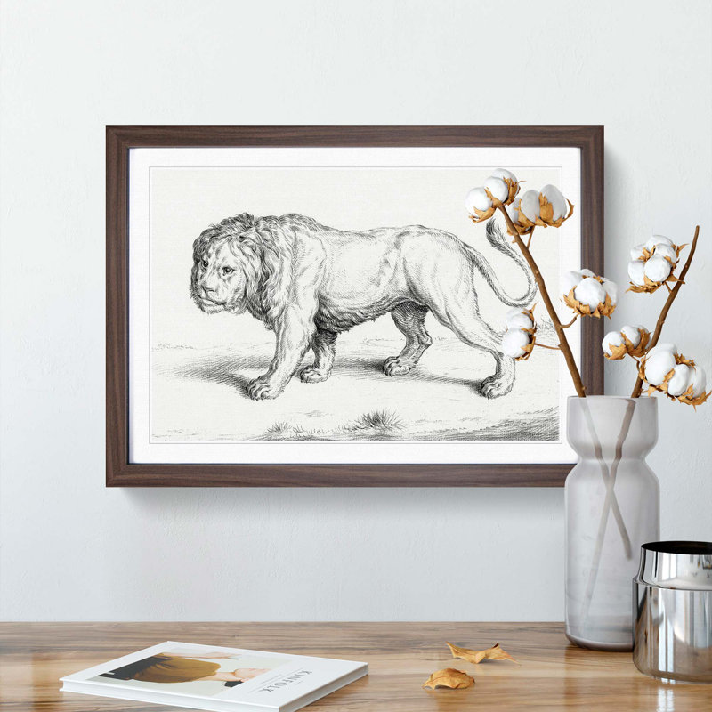 Prowling Lion by Jean Bernard - Picture Frame Drawing Print, 27cm H x 36cm W x 2cm D, Walnut Framed