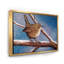 Wren en hiver - Peinture sur toile-59762272-59762273