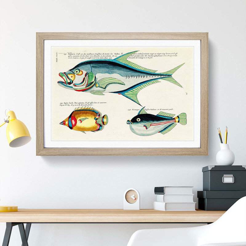 East Indies Fish Illustrations XXIX by Louis Renard - Picture Frame Graphic Art Print, 48cm H x 65cm W x 2cm D, Oak Framed