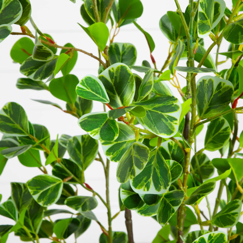 5Ft. Artificial Heart Shaped Ficus Leaf Tree