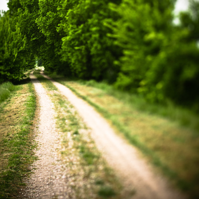 Empty Dirt Road par Moreiso, H 30 po x l 30 po