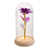 Golden/Purple is out of stock