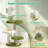 Emmrie Four Leaf Clover Cat Tree with Cat Scratching Posts, Flower-shaped Cat Tower for Indoors, Modern Cat Tree for Large Cats
