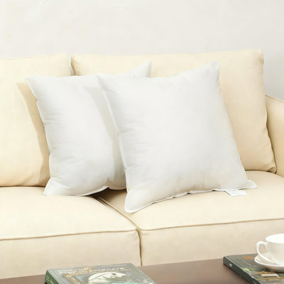 Ensemble de 2 coussins moelleux