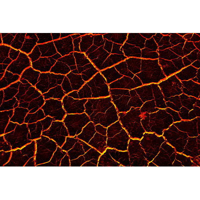 " The Surface Of The Lava. Background. "
