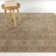 Oriental Indoor Rug