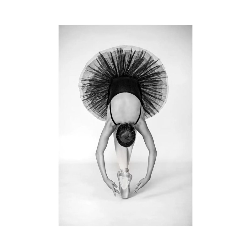 Ballet Technique by Pauline Pentony - Wrapped Canvas Print, 66.04 cm H x 45.72 cm W x 1.91 cm D