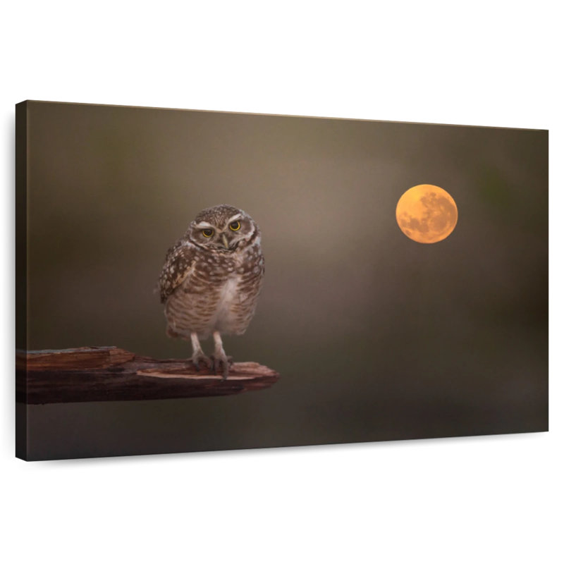 Owl Under The Moon, 26" H x 39" W