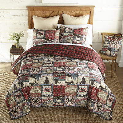 Ensemble de courtepointe Your Great Lifestyle par Donna Sharp