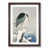 Walnut  Bordered Framed Paper selected