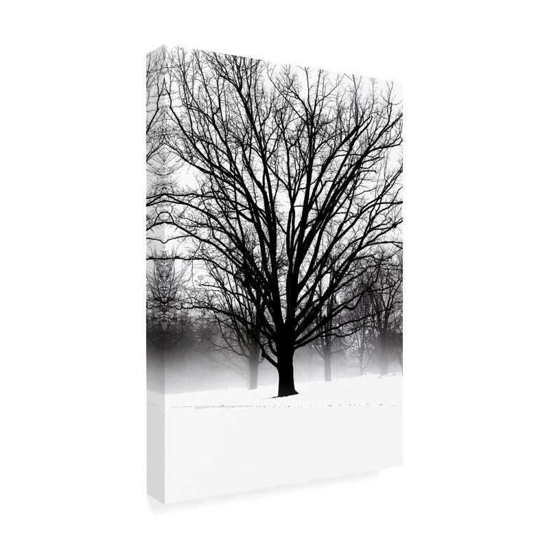 «Kriztian High Contrast Tree In Winter On Canvas» par Clive Branson, reproduction, H 19 po x l 12 po x P 2 po