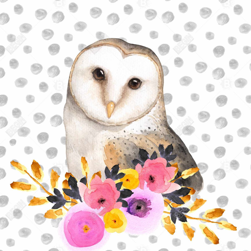 «Beautiful Owl»