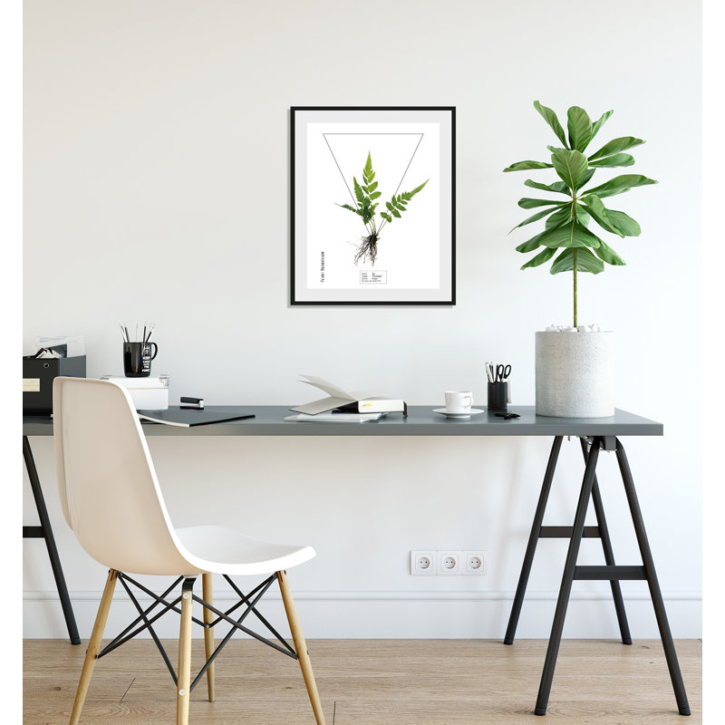 Plant - Single Picture Frame Print