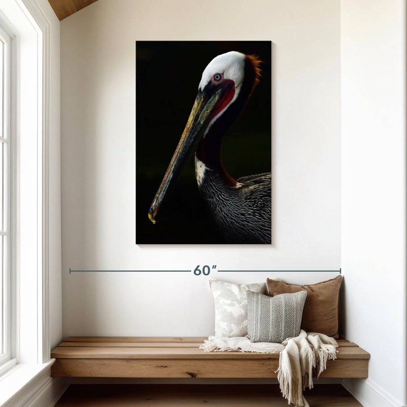 Portrait de pélican brun Brampt, H 45 po x l 30 po