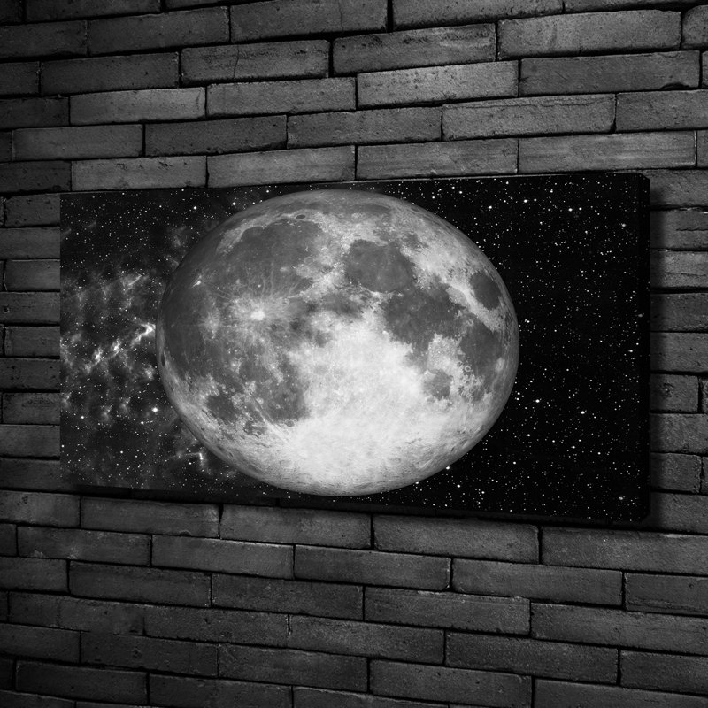 Moon - Wrapped Canvas Print