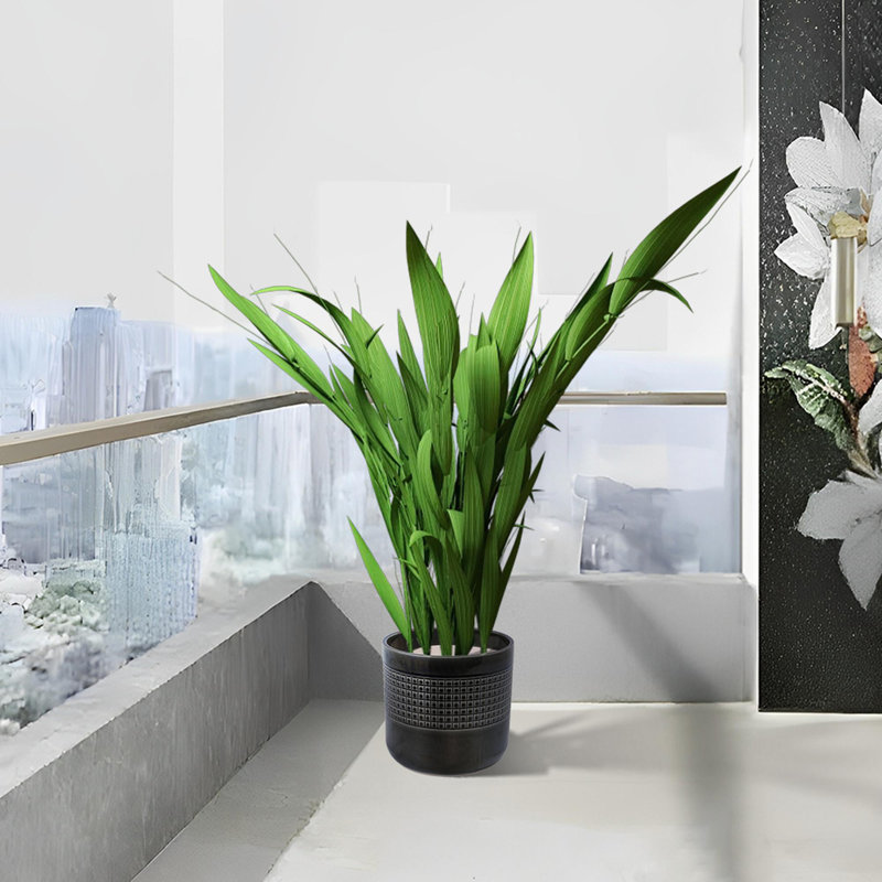 Pot de fleurs en céramique de haute qualité, Noir