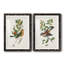 Oiseau antique, botanique et œuf I - ensemble de 2 reproductions d'art sur papier encadré-1329192742-1329192741