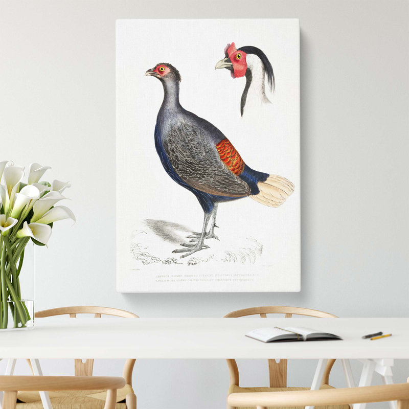 Crested Pheasant Illustration - Wrapped Canvas Painting, 50 cm H x 35 cm W
