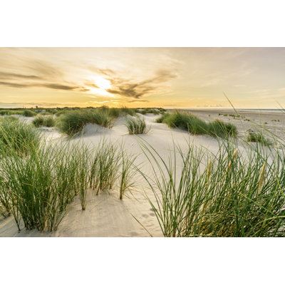Plage avec dunes de sable