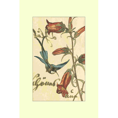 Colibri rêverie I