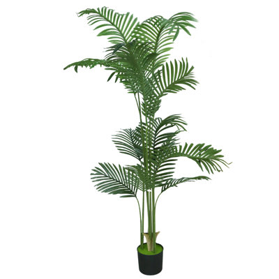 Faux Palm Plant 180 cm H Faux Palm Tree Plant in Plastic Pot