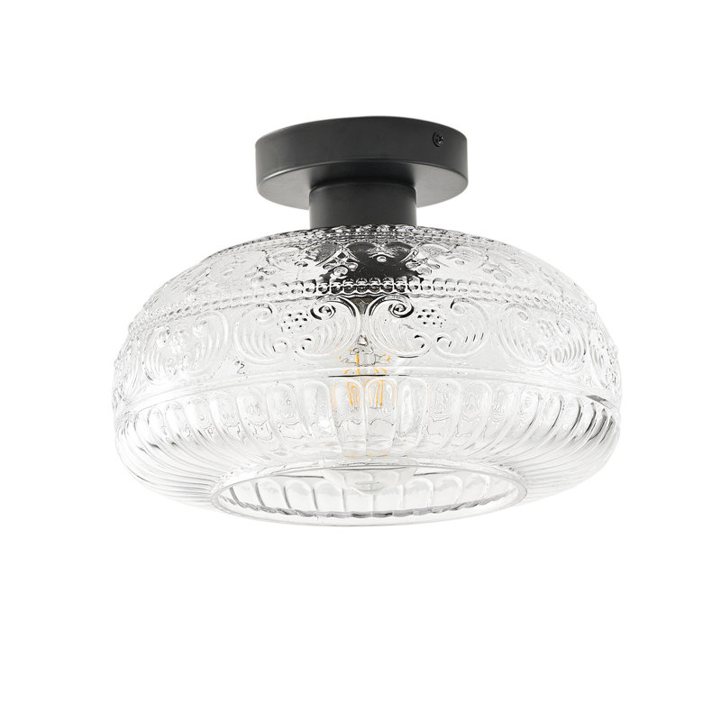 1-lamp Clear Glass Adjustable Iron Ceiling Light
