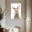 Petit lapin Brampt-108591920