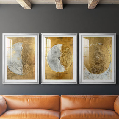ABSTRACT Series CCXIX  -Custom Framed  Premium Print W Matt - 3 Pieces