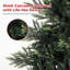 Christmas Tree-2082821661