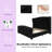 DuJuan Deep Button Tufted Upholstered Queen Bed with Nailhead Trim Wingback Headboard, Black-1309341027-1309341024