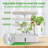 Simbr Grow Light Fruits / Vegetables