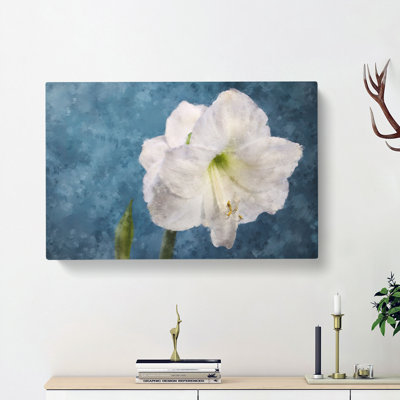 White Amaryllis Flower - Wrapped Canvas