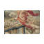 Hand-Knotted High-Quality Area Rug