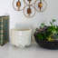 Vase de table Fondrisi