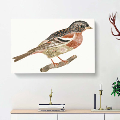 Bullfinch by Johan Teyler - Wrapped Canvas