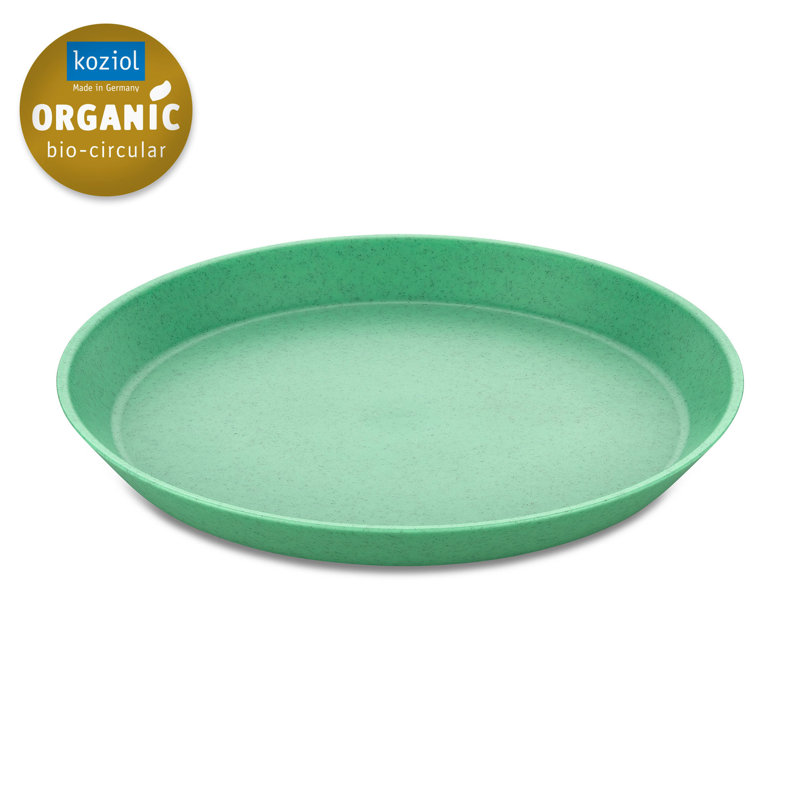 Connect Plate Small Plate, Green