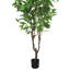 Bouleau artificiel en pot-416493233
