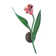 Tulip 1 - Light Wallchiere