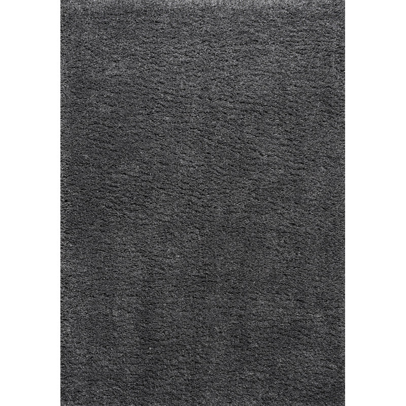 Anttwan Solid Shag Dark Gray Rug, Rectangle 3' x 5'