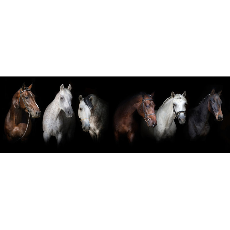 Art sur toile, Noble Companions - Équitation, H 10 po x l 30 po