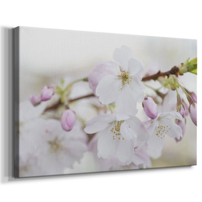 Signs of Spring -Gallery Wrapped Cavas