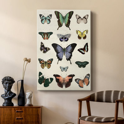 Flutterbys II - galerie sur mesure Cavas